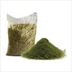 Erva de chimarrão